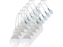Max Hauri Lampenfassung Baustellen LED 9 W, 10 Stück