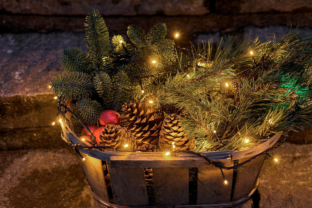 Beleuchtungszubehör Verkäufe 26 Beleuchtungszubehör Verkäufe -Beleuchtungszubehör Verkäufe sirius top line system led lichterkette 50 led warmweiss 5 m erweiterbar fernbedienbar